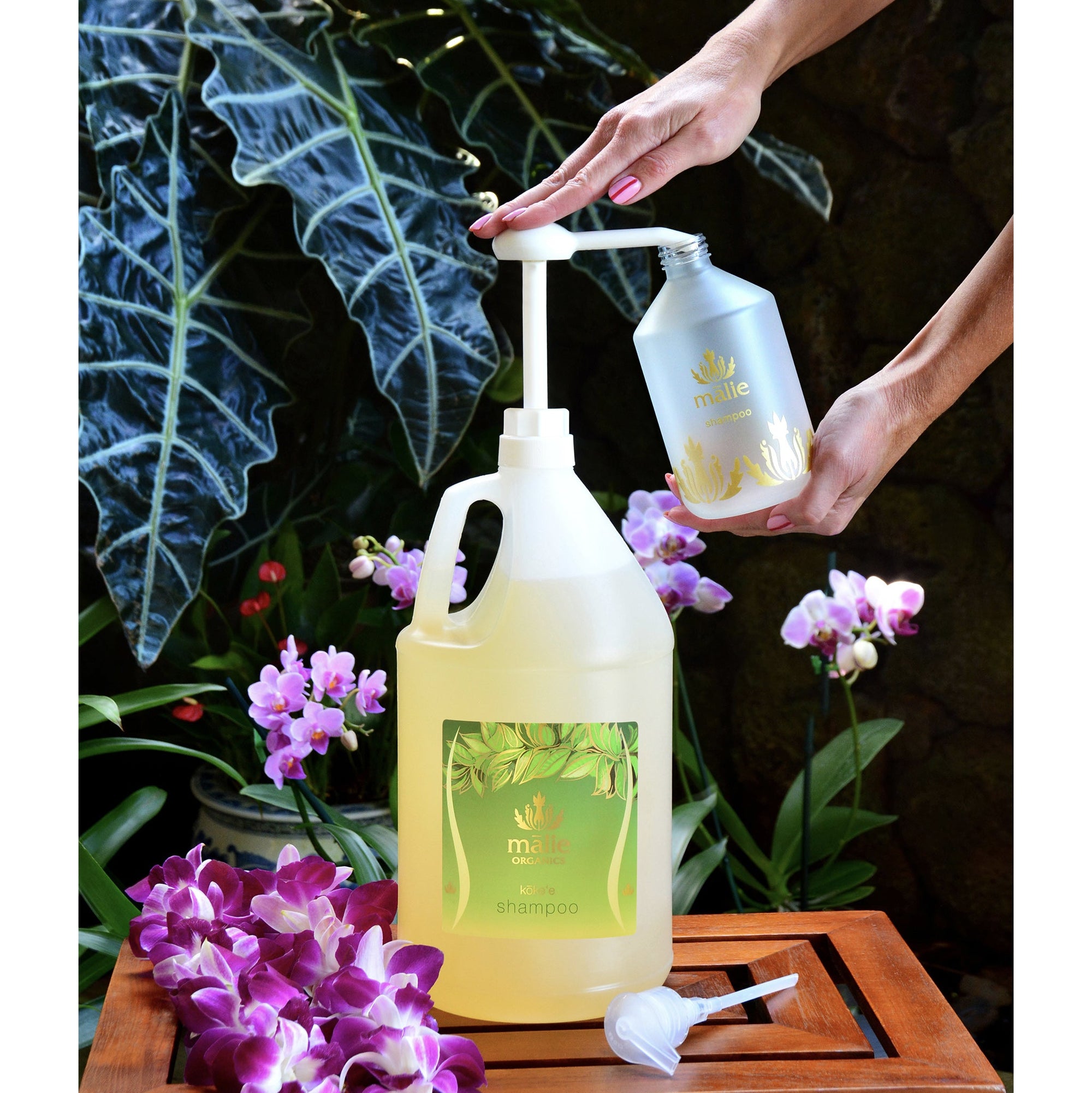 eco-refill shampoo bottle - Body