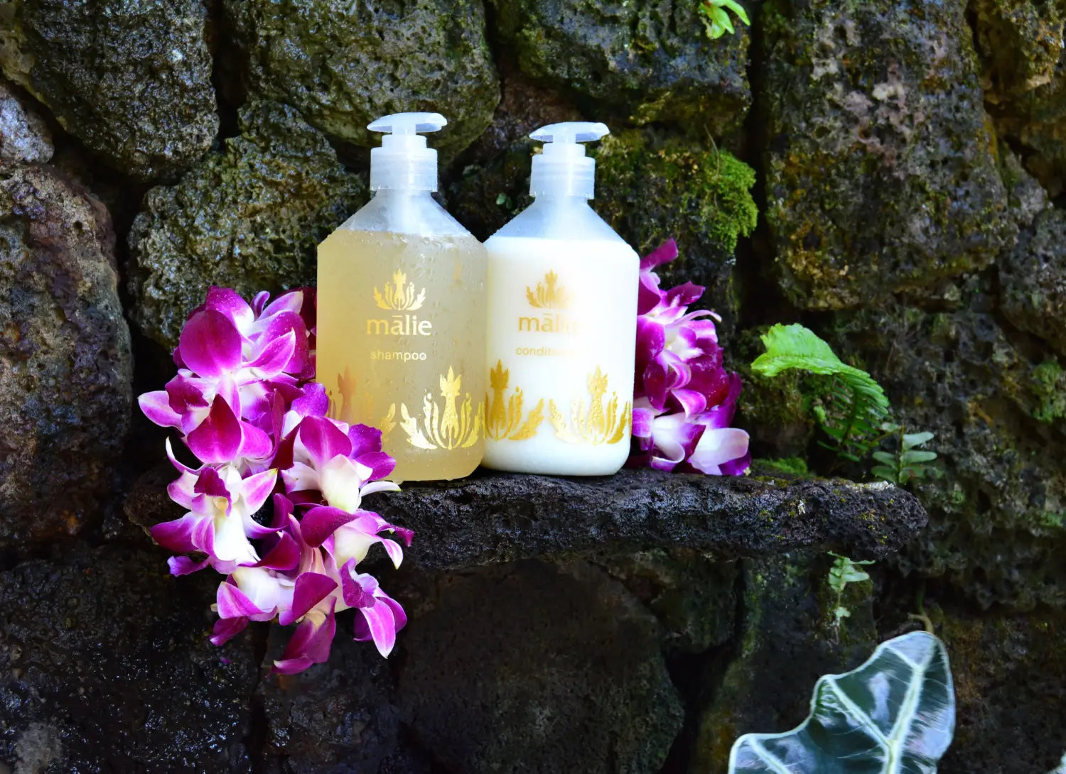 Sustainable Shampoo Packaging in Tropical Hair Care: Our Environmental Commitment
