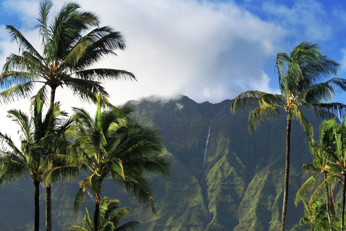 Why Ethical Shopping Matters: How Your Purchases Can Support Hawai‘i