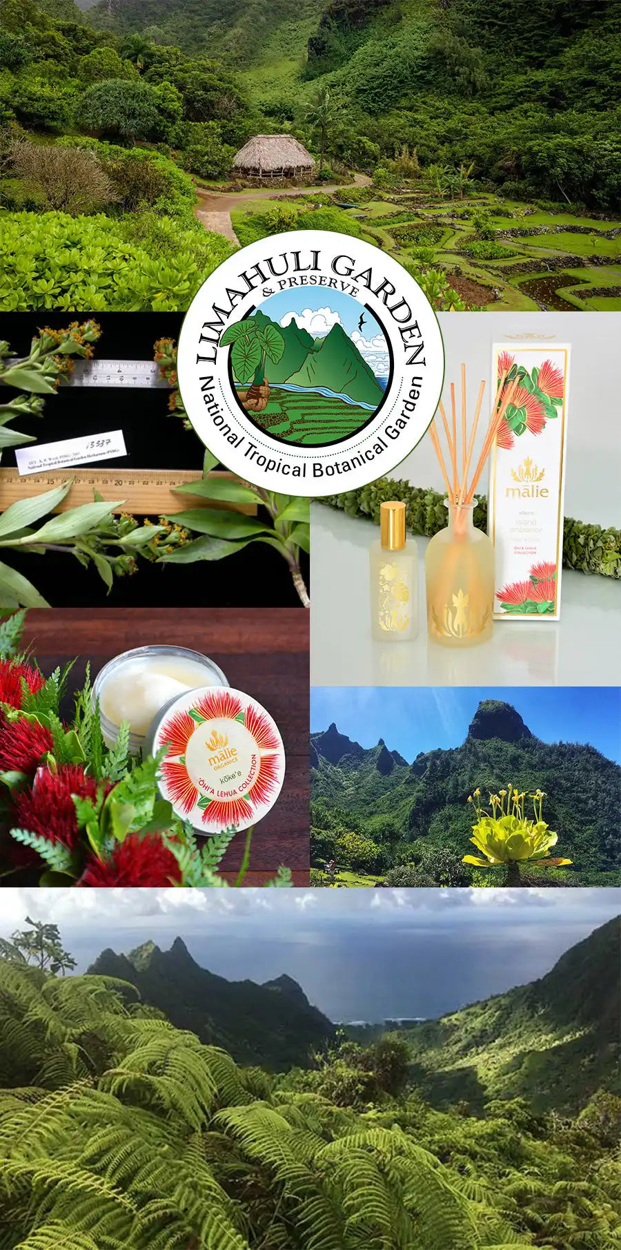 Collage of Hawaiian scenery and products featuring the Kauai Grown logo and local food/drinks.