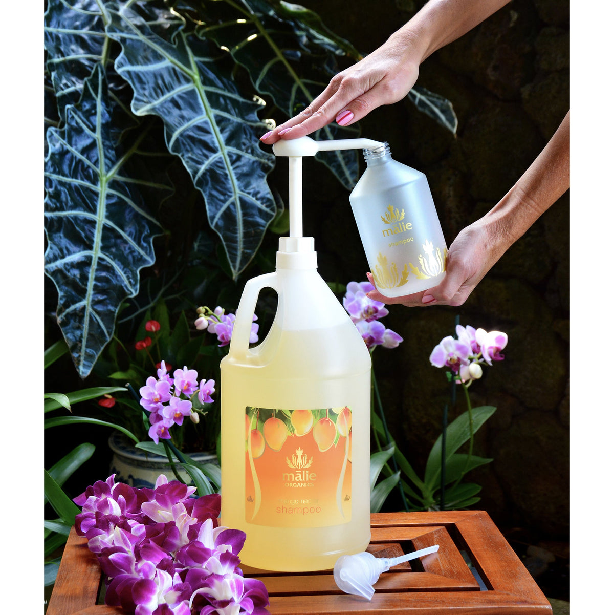 mango nectar shampoo gallon - Eco-Refill