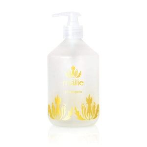 eco-refill shampoo bottle - Body