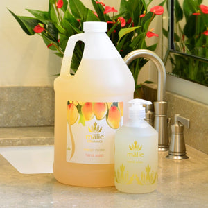 mango nectar eco-refill hand soap + body cream set - Eco-Refill