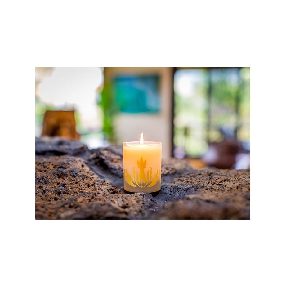 plumeria soy candle - Home